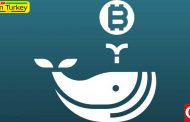 The entrance of 141 new Bitcoin whales indicates an inevitable bullish uptrend