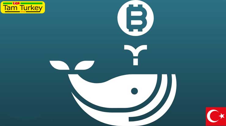 The entrance of 141 new Bitcoin whales indicates an inevitable bullish uptrend