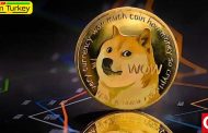 کی ، کجا و چه کسانی در جشنواره Dogecoin شرکت می کنند؟