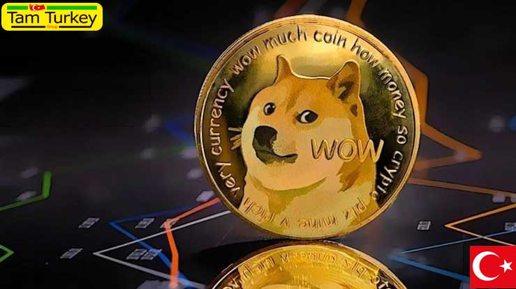 کی ، کجا و چه کسانی در جشنواره Dogecoin شرکت می کنند؟