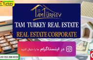 Follow Tamturkey on Instagram