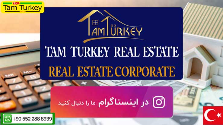 Follow Tamturkey on Instagram